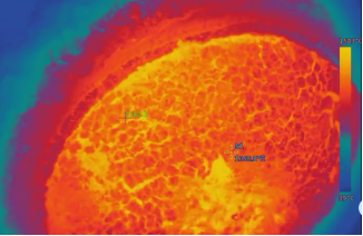 Infrared temperature monitoring inside LF furnace during steel refining process